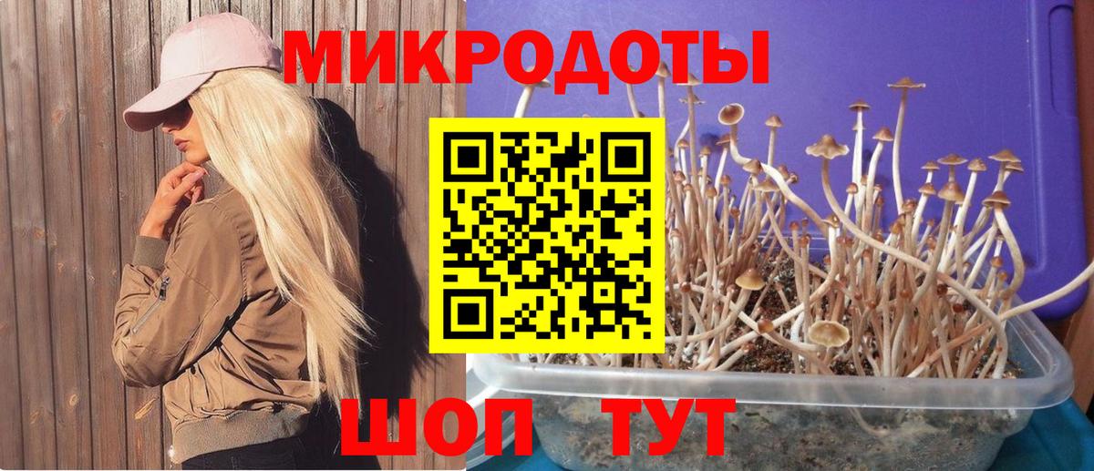 Псилоцибиновые грибы мухоморы Североморск