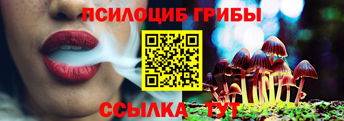 Североморск  Галлюциногенные грибы Psilocybine cubensis  Галлюциногенные грибы Psilocybine cubensis  Вход с VPN 